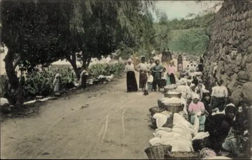 Ak Las Palmas de Gran Canaria Kanarische Inseln, Frauen beim Waschen, Straße, Körbe, Bäume, Las P