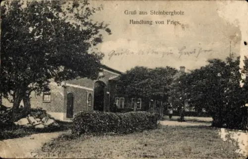 Ak Steinbergholz Steinberg in Angeln, Gruß aus  Handlung von Fries, Bäume, Gebäude
