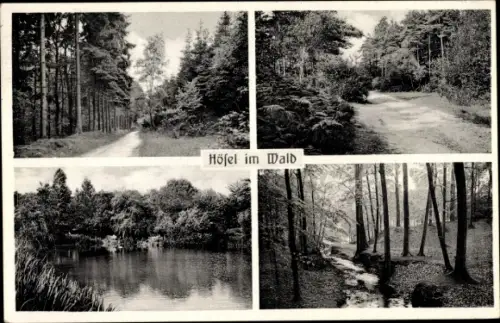 Ak Hösel Ratingen Nordrhein Westfalen, Wald, Teilansichten