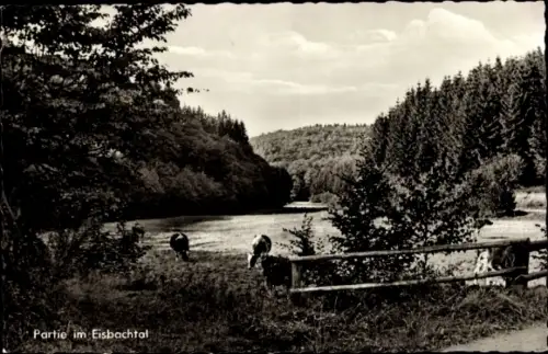 Ak Elkhausen Wissen an der Sieg Westerwald, Partie im Eisbachtal, Kühe