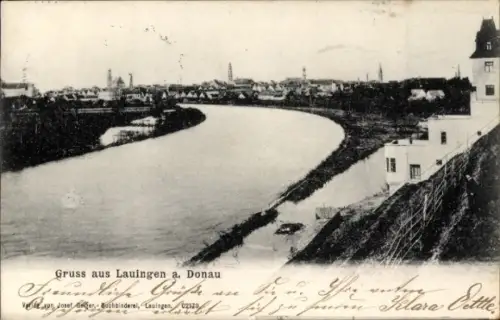 Ak Lauingen an der Donau Schwäbische Alb, Gesamtansicht