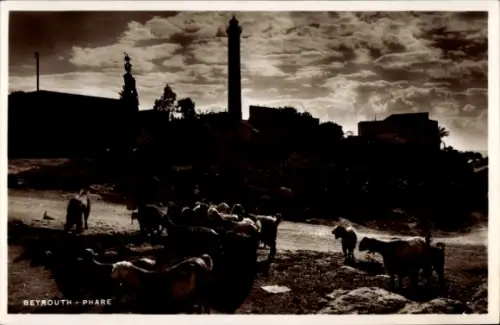 Ak Beirut Beyrouth Libanon, Schafe, Leuchtturm, Landschaft,  Schwarz-Weiß