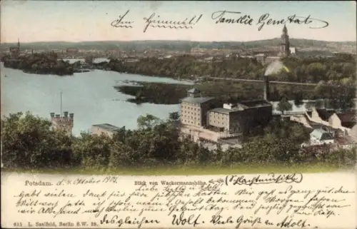 Ak Potsdam, Blick von der Wackermannshöhe