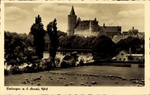 Ak Lauingen an der Donau Schwäbische Alb, Schloss, Fluss, Wiese, Schafe, Bäume