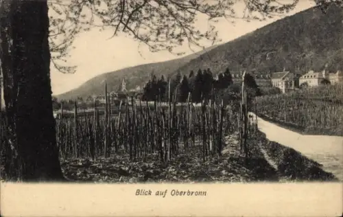 Ak Oberbronn Elsass Bas Rhin, Blick auf  Weinreben, Straße, Gebäude im Hintergrund