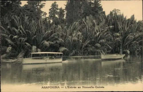 Ak Arapokina Papua Neuguinea, Boote, Palmen
