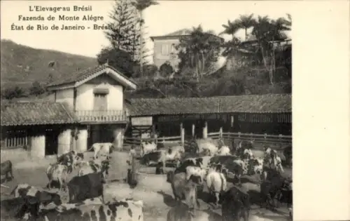 Ak Rio de Janeiro, Brésil, Fazenda de Monte Alegre