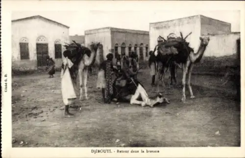 Ak Djibouti Dschibuti, Kamele, Menschen, Rückkehr in die Brousse, Djibouti