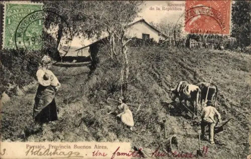 Ak Buenos Aires Argentinien, Bauern bestellen ihr Feld