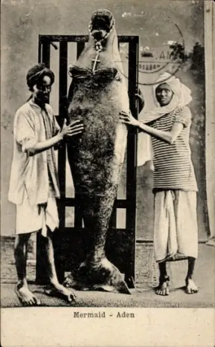 Ak Aden Jemen, Mermaid, Meerjungfrau, Dugong, Seekuh