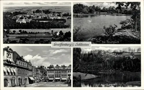 Ak Gryfów Śląski Greiffenberg Schlesien, Panorama, Stadtpark, Alte Giebelhäuser, Kienberg-Baude