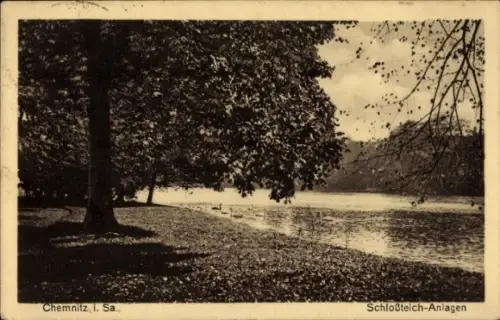 Ak Chemnitz in Sachsen,  Schloßteich-Anlagen, Bäume, Wasser, Enten