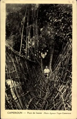 Ak Buea Kamerun, Mann auf Lianenbrücke, dichte Vegetation, Kamerun