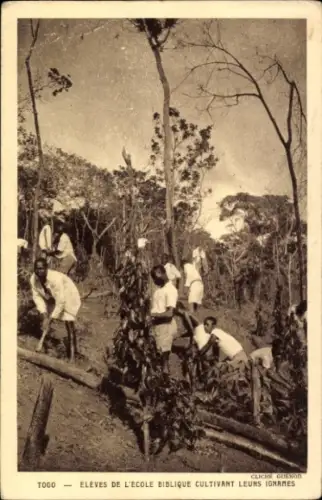 Ak Kpalimé Togo, Schüler der biblischen Schule, Yamsanbau, Togo