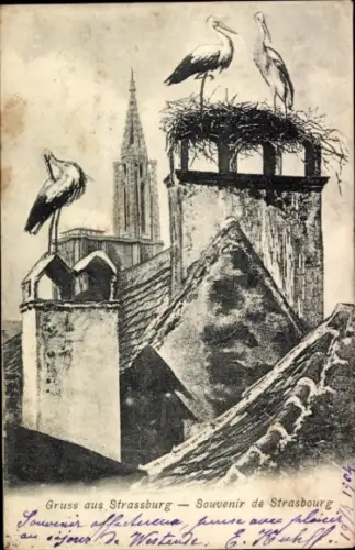 Ak Strasbourg Straßburg Elsass Bas Rhin, Storchennest auf Schornstein, Störche
