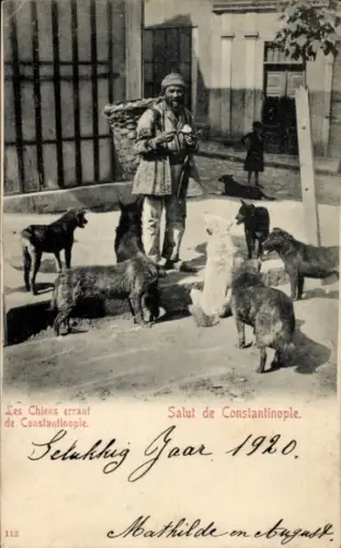 Ak Konstantinopel Istanbul Türkei, Mann füttert streunende Hunde