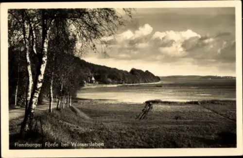 Ak Wassersleben Flensburg Schleswig Holstein, Flensburger Förde