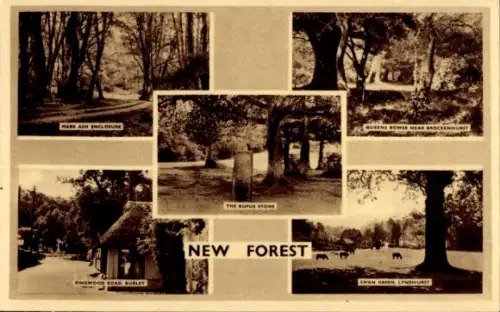 PC Burley New Forest Hampshire England, Rufus Stone, Ringwood Road