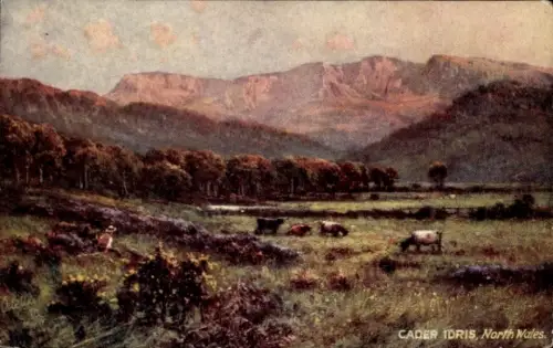 Künstler Ak Cader Idris Wales, Landschaft