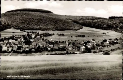 Ak Weidelbach Haiger in Hessen, Gesamtansicht