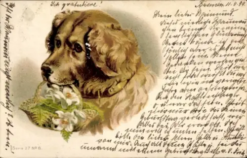 Litho Hund, Tierportrait