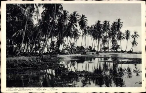 Ak Limon Costa Rica, Palmen, Wasser, Haus, Piula Lemon, Costa Rica