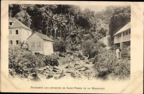 Ak Saint Pierre Martinique, Bachblick, Häuser, Palmen