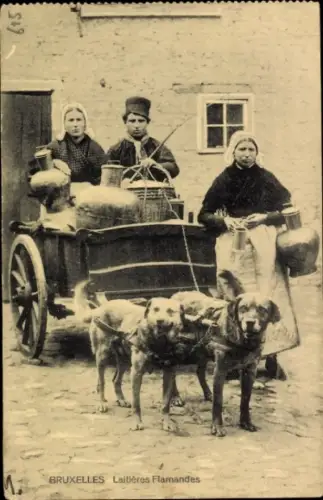 Ak Bruxelles Brüssel, Milchmädchen, Arbeitshunde