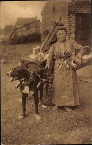 Ak Flämisches Milchmädchen, Arbeitshund, Belgische Tracht