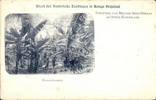 Ak Belgisch Congo Democratische Republiek Congo Zaïre, Bananenboomen