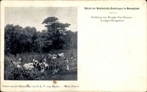 Ak Belgisch Congo Democratische Republiek Congo Zaïre,