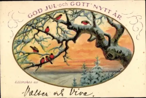 Künstler Ak Nyström, Jenny, Frohe Weihnachten, Fröhliches Neujahr, Vögel auf verschneitem Ast