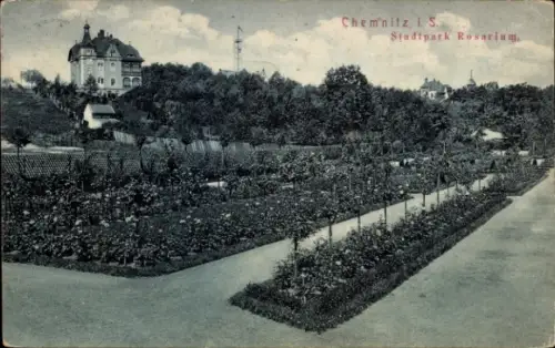 Ak Chemnitz in Sachsen, Chemnitz IS, Stadtpark Rosarium, Blumenbeete, Bäume, Gebäude im Hintergru