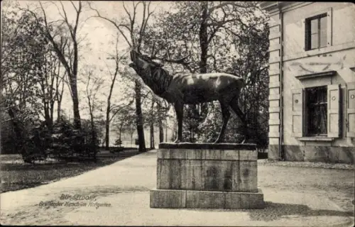 Ak Düsseldorf am Rhein, Brüllender Hirsch im Hofgarten