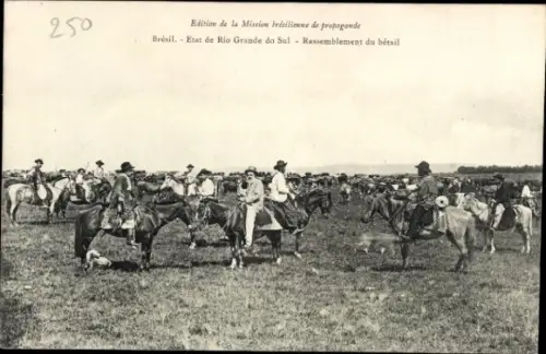 Ak Rio Grande do Sul Brasilien, Rinder auf Weide, Reiter, Brasilien, Rio Grande do Sul, Rassemble