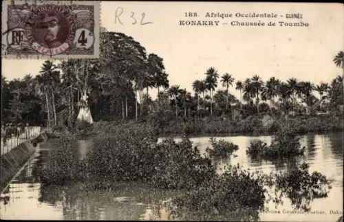 Ak Conakry Konakry Guinea, Flusslandschaft, Palmen, Poststempel,  Guinea