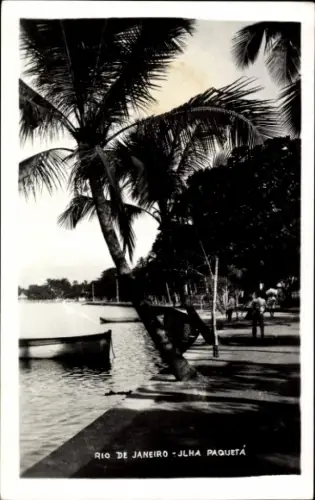 Ak Rio de Janeiro Brasilien, Palmen, Boote, Uferpromenade,  Ilha Paquetá