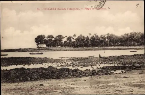 Ak Conakry Guinea, Strandansicht, Boote, Palmen,  Guinea Française