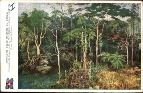 Ak DR Kongo Zaire, Teich und Lianenbrücke