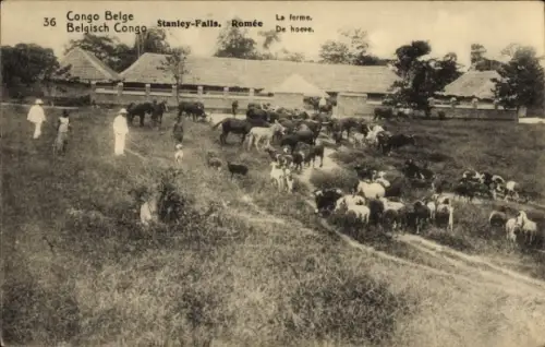 Ganzsachen Ak DR Kongo Zaire, Stanley Falls, Romee, Bauernhof