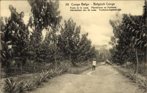 Ak DR Kongo Zaire, Congo Belge, Poste de la Lowa, Plantations de Funtumia