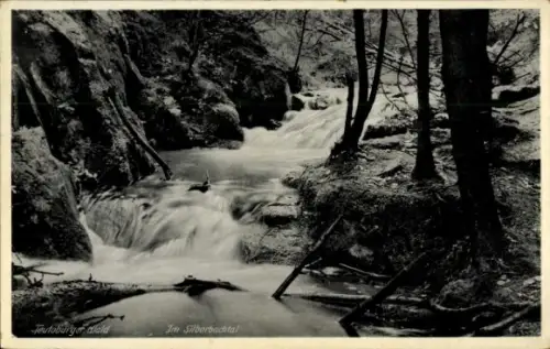 Ak Leopoldstal Horn Bad Meinberg am Teutoburger Wald, Im Silberbachtal, Bachblick