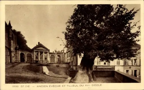 CPA Saint-Dié-des-Vosges, ancien Evêché et Tilleul