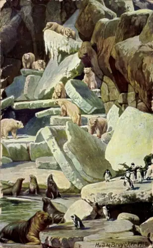 Künstler Ak de Bruycker, H.v.J., Hamburg Eimsbüttel Stellingen, Carl Hagenbeck's Tierpark, Walrosse