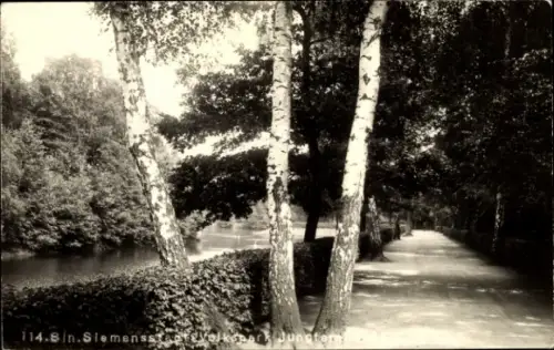 Foto Ak Berlin Spandau Siemensstadt, Volkspark Jungfernheide