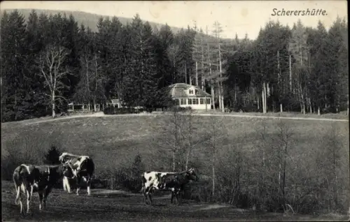 Ak Ohrdruf in Thüringen, Scherershütte, Kühe