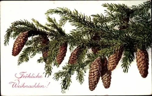 Ak Glückwunsch Weihnachten, Zapfen an einem Nadelzweig
