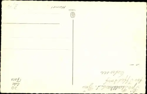 Ak Hund Struppi, Terrier, Tier-Portrait