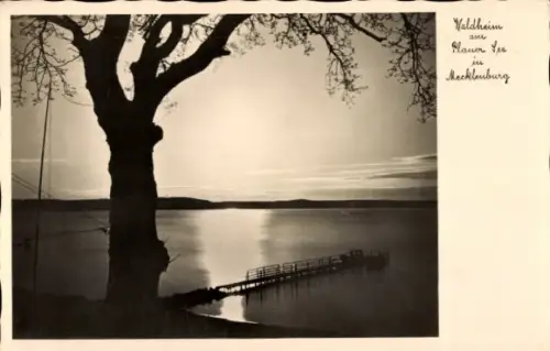 Ak Plau am See Mecklenburg, Waldheim am  Baum, Steg, Wasseroberfläche, Nachtaufnahme