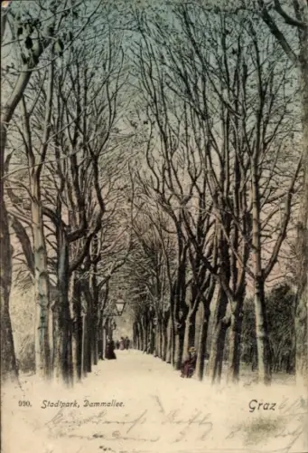 Ak Graz Steiermark, Stadtpark, Dammallee,  Bäume, Weg, Laterne